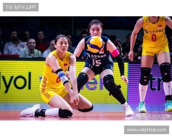 北京排球队排名第九排球个人能力排行榜揭晓引发热议