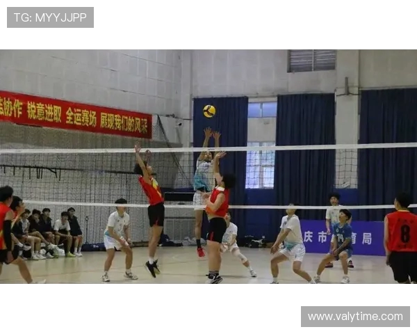 重庆排球队团队协作新模式引发热议助力排球运动发展