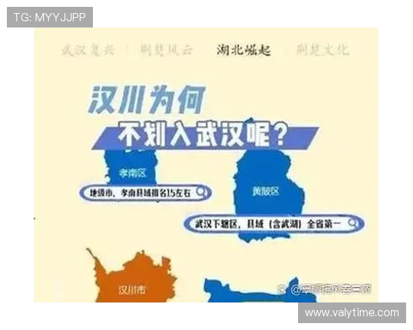 武汉三镇融合发展战略:打造新时代城市核心区的经济与文化新高地
